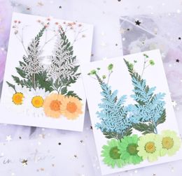 Decorative Flowers & Wreaths 1Set Mixed Pressed Dried Daisy Flower Leaves Filler For Epoxy Resin Jewellery Making Postcard Frame Phone Case Cr