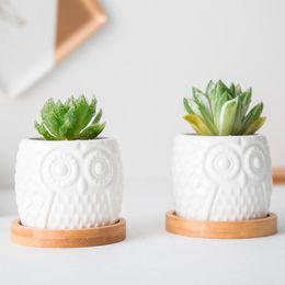 2 Set Ceramic Succulent Flowerpot White Owl Flowerpots With Bamboo Tray Holder Cute Cactus Flower Pots Bonsai Planters Desktop Y200709