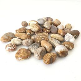Decorative Objects & Figurines Price Natural Polished Coral Jade Tumbled Stones Healing Crystal For Home Decoration WR