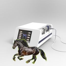 Health Gadgets Veterinaria shockwave therapy machine for horse and animals treatment with 10 body pards preset easy to opperation