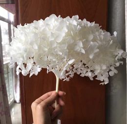 Doğa Taze Korunmuş Anna Dekoratif Çiçekler Çelenk Ortanca Branch16-18 cm Kafa, DIY Evlilik Çiçek, Düğün Buket Hediye Extelle Gül Dekor