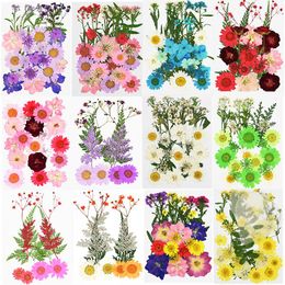 Mini Dried Flowers Australia New Featured Mini Dried Flowers At Best Prices Dhgate Australia