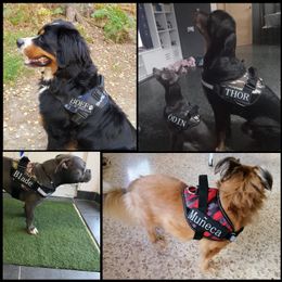 Dog Harness NO PULL Reflective Adjustable Personalized Pet Harness For Dog Vest Custom Id Tags Patch Outdoor Walking Dog Supplie Q245k
