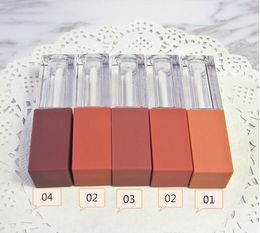 Packaging Bottles 5ml Empty Lip Gloss Tube, High-end Elegant Reddish Brown Liquid Lipstick Refillable Tube fast