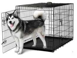 48'' 2 Doors Wire Folding Pet Crate Dog Cat Cage Suitcase Kennel Playpen With Tray