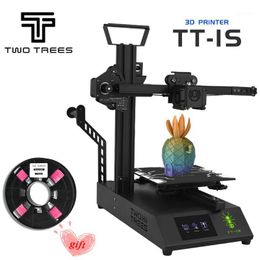 Printers TWOTREES-1S Mini 3D Printer Titan Extruder 220V/110V Universal DIY With 0.2kg Filament Belt Stretch Tensioner Fast Assembly1