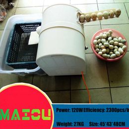 MAIOUSingle row Electric Egg washing machine chicken duck goose egg washer egg cleaner wash machine poultry farm equipment