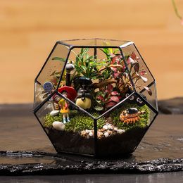 Office Tabletop Display Planter Succulents Plant Container Flower Pot Fairy Garden Polyhedron Glass Geometric Terrarium Bonsai Y200709