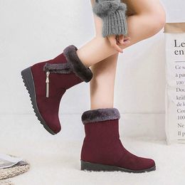 Women Snow Boots 2020 Fashion Warm Boots Women Shoes Si Zipper Waterproof Round Toe Ladies Shoes1