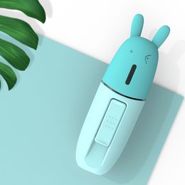 Portable Facial Humidifier USB Mini Handheld Ultrasonic Humidifier Mist Maker Fogger Diffuser for Face Steam