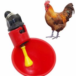 Poultry Chicken Water Cups Plastic Cup Bowls Automatic Drinking Machine Chicken Drink Cup Automatic Drinker Chicken Feeder KKA8320