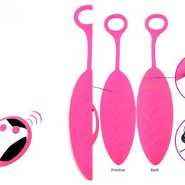 Nxy Male Nuo Female Vaginal Ball, 10 Speed G spot Vibrator, Wireless Remote Control Egg Usb Rechargeable Toy 1215