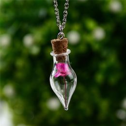 Women Girls Wishing Bottles Dried Flower Necklaces women glass necklaces plant fashion Jewellery Christmas gift will and sandy new
