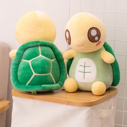 turtle plush toy australia