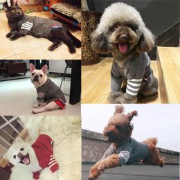 High Quality Pet Sweater Clothes For Small Dogs Puppy Cat Knitting Pullover Clothing Chihuahua Winter Warm Coat Jacket Coats 201128