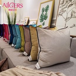 Avigers Modern Cushion Cover Pillow Luxury Solid Velvet Pillowcase Christmas Home Decorative Sofa Throw Pillow Gold Blue Green Y200104