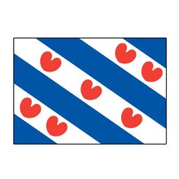 Frisian Flags Friesland Flag Banner Decoration 3x5 FT Banner 90x150cm Festival Party Gift 100D Polyester Printed Hot selling!