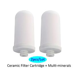 2pcs/Lot Ceramic Replacement Water Filter Cartridges for A01s Kitchen Faucet Mounted Tap Water Purifier mineral ionizing filter Y200320