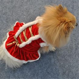 Dog Apparel Winter Clothes For Dresses Small Dogs Pet Christmas Teacup Puppy Beautiful Cute Dresses1