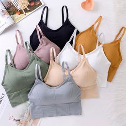 Gym Clothing Women's Sports Bra Breathable Anti-Sweat Yoga Running Workout SportsComfortable Underwear Without Steel Rings1