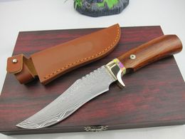 New 9.4 Inch Damascus Fixed Blade Hunting Knife VG10-Damascus Steel Blade Wood+Brass Handle Straight Knives With Leather Sheath