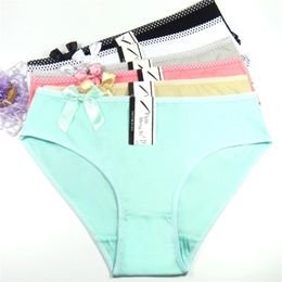 Women's panties Large size lady mum pants pure Colour cotton women's Big yards 2XL/3XL/4XL 6 pcs/lot 201112