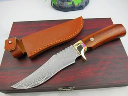special offer 9 4 inch damascus fixed blade hunting knife vg10 damascus steel blade woodbrass handle straight knives with leather sheath