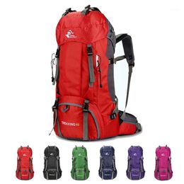 Outdoor Bags 60L Climbing Backpack Camping Hiking Bag Waterproof Mountaineering Trekking Travel Rucksack Molle Backpack1