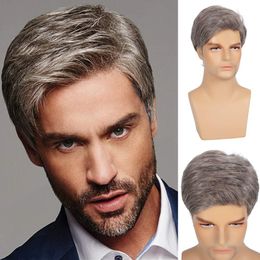 Buy Short Male Hair Wig Online Shopping at 