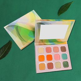 VMAE Hot Selling 12 Colours Palette Luxury Eyeshadow Long Lasting Can Custom Private Label Makeup Eyeshadow Palette No logo