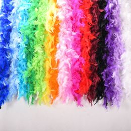 2M Clothing Accessories Feather Multi Colour Strip Fluffy Happy Birthday Party Wedding Decorations Dance Props EEF3536