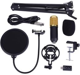 Microphone Condenser Microphone Arm Stand Po-p Filter Cap Kit Record Accessory for Computer YouTube Singing Studio Recording & Broadcast