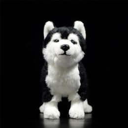 25CM Siberian Husky Dog Plush Toy W/ Brown/Blue Eyes Lifelike Alaskan Malamute Stuffed Animal Toys Christmas Gifts 201212