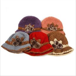 New Warm Hat Winter Women Earmuffs Wool Cap Pretty Knitted Hats Female Autumn Winter Fashion Beanies Hat Wholesale