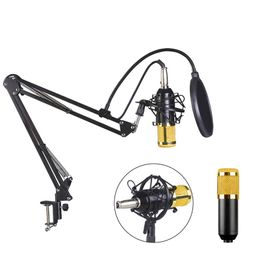 Professional Condenser Microphone BM800 Kit with Cantilever Support PC Mobile Compatible Studio Vocal Recording Microphone BM800