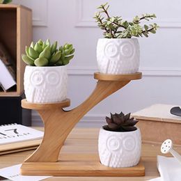 Succulent Plant Flower Pot Holder Ceramic Owl Pumpkin Pattern Pot Treetop Shaped Bamboo Shelf Pot Planter Set Home Decoration Y200723