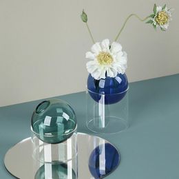 Vases Glass Decorative Vase Color Round Hydroponic Home Decoration Accessories Living Room Mini Desktop Ornament Decor