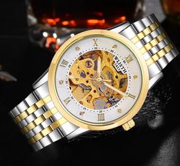 WLISTH Mens Excellent Full automatic mechanical watch hollow retro luminous waterproof