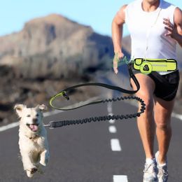 waterproof Running Jogging Walking Dog Leash Elastic Hand Freely Pet Products Adjustable Waist Belt Traction Lead Leash LJ201111