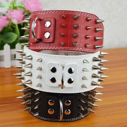 (20 Pieces/lot) 3inch Width Leather Strong Studded Sharp Spikes Large Big Dog Pet Pit bull Collar SM and Matched Lead Leashes Q1119