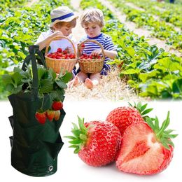 Cabinet Door Organizers Garden Strawberry PE Hanging Grow Planting Bag Plant Root Pot Pouch Container