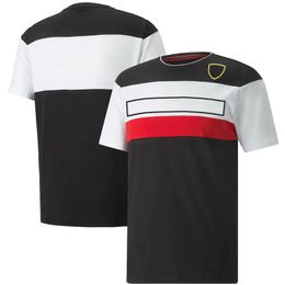 2022F1 Formula One Racing Suit Team Fan T-Shirt Polo Shirt Men's Short Sleeve Racing Overalls Custom