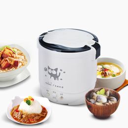 12V 24V 220V Electric Rice Cooker 1L Multifunctional Cooker For Car / Home / Truck Lunch Box Rice Cooker Pot With Small Steamer T200710