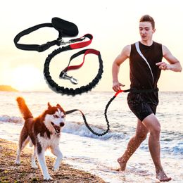 Dog running rope Waist belt jogging pet Elastic leash golden retriever chain medium large dog supplies Reflective sethands Free LJ201109