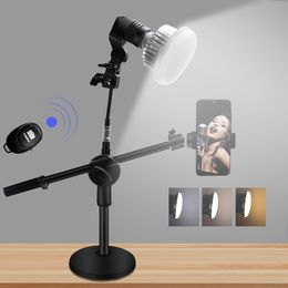 3 In 1 LED Photography Lighting 3200-5500K 65W 85W Led Lighting Studio Light Ring Light With Stand Remote Control For Filling Lights