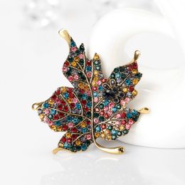 maple leaf brooch gold diamond dress business suit brooches scarf buckle corsage for women men fashion Jewellery will and sandy drop ship