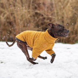 Winter Winter Pet Clothing Small Dog Clothing Plus Velvet Pet Dog Warm Coat High Collar Hoodie 201114