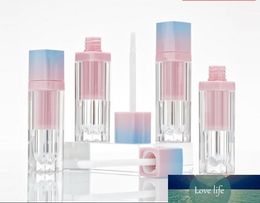 4.5ML Top Grade Empty Lip Gloss Tube, DIY Arcylic Liquid Lipstick Refillable Bottle,Elegant Pink n Blue Lip Gloss Tube