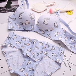 rabbit Korean seamless young girls push-up fashion sexy underwear and panties one-piece comfortable bra set for student Y200708