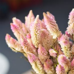 15pcs Natural Dried Wedding Flower Pink Christmas Valentine's Day Gift Wedding Touch Decor Gift Bouquet